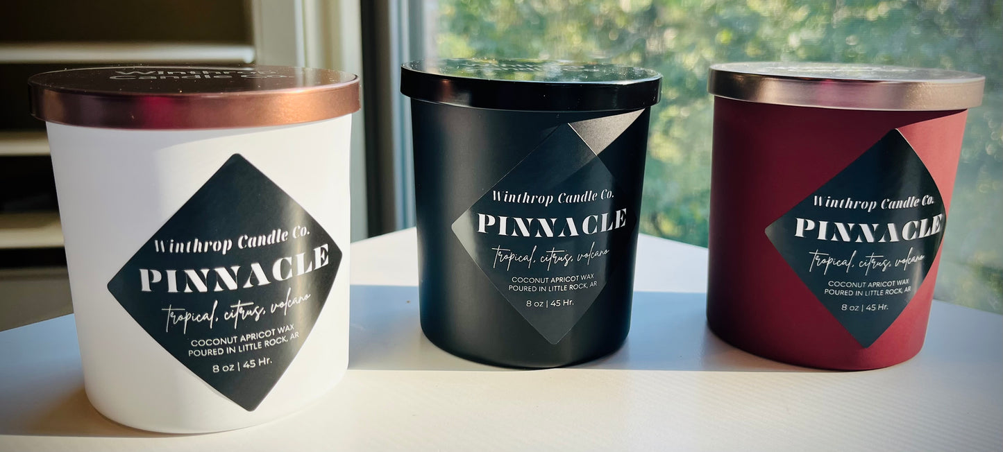 Pinnacle - 8.3oz Coconut Apricot Wax Candle