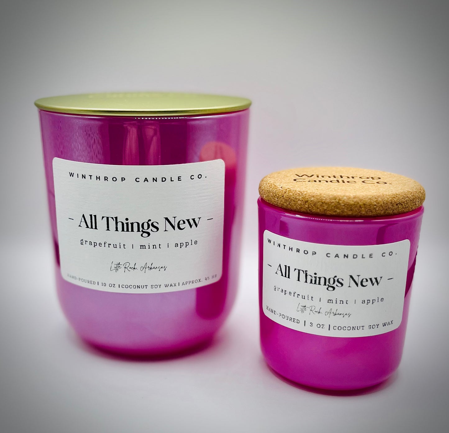All Things New - 3oz Coconut Soy Candle